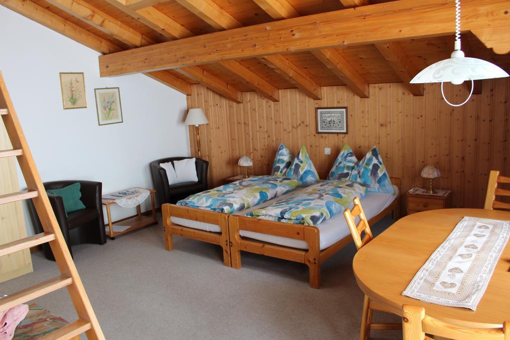Chalet Spinne Grindelwald Habitación foto